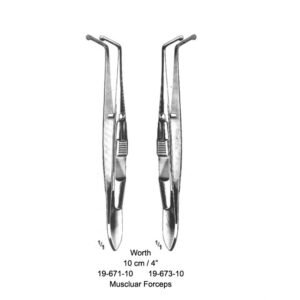 Worth Art# : MSC-19-671-10