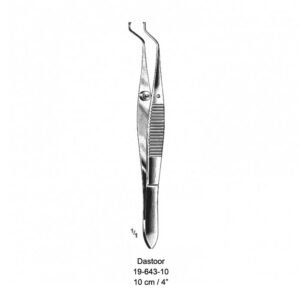Dastoor Art# : MSC-19-643-10