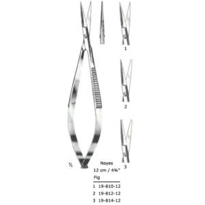 Noyes Art# : MSC-19-810-12