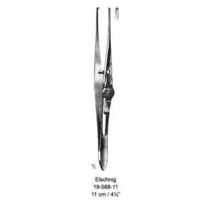 Elschnig Art# : MSC-19-588-11